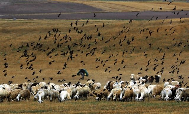 Foto Muhabiri Ali Ünal Kimdir 2