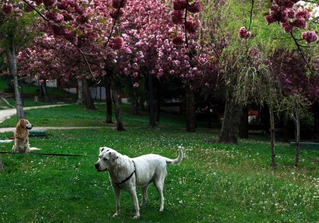 Foto Muhabiri Ali Ünal Kimdir 3