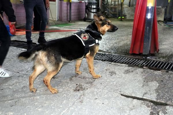 Ankara’da sahte içki operasyon görüntüleri 7