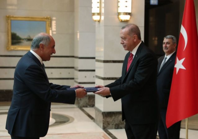Cumhurbaşkanı Erdoğan'a Büyükelçilerden 'güven mektubu' 3