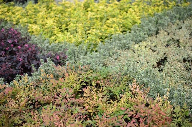 Sakarya Peyzaj ve süs bitkiciliği sektörü temsilcilerini ağırladı 10