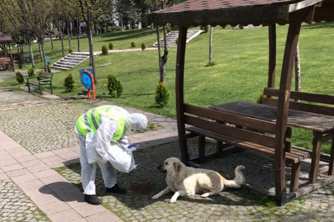 Ankara'da Sokağa çıkma yasağı boyunca Çankaya temizlendi 2