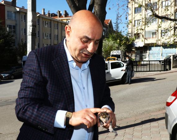 Keçiören Belediye Başkanı Turgut Altınok minik kedi koruma altına aldı 1