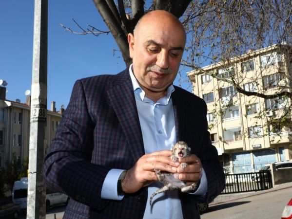 Keçiören Belediye Başkanı Turgut Altınok minik kedi koruma altına aldı 2