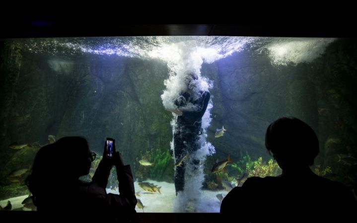 Ankara'nın akvaryum dalgıcının sudaki çalışması ziyaretçilerden ilgi görüyor 3