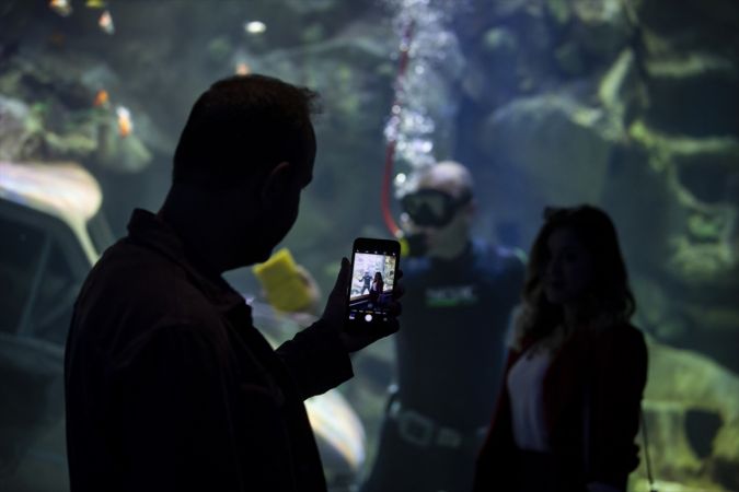 Ankara'nın akvaryum dalgıcının sudaki çalışması ziyaretçilerden ilgi görüyor 5