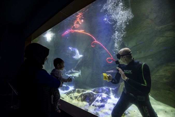 Ankara'nın akvaryum dalgıcının sudaki çalışması ziyaretçilerden ilgi görüyor 6
