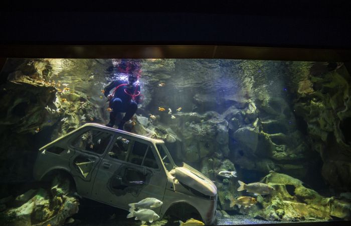 Ankara'nın akvaryum dalgıcının sudaki çalışması ziyaretçilerden ilgi görüyor 13