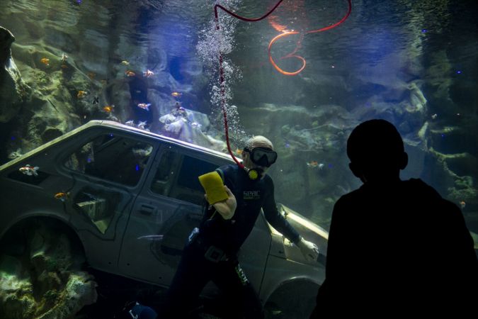 Ankara'nın akvaryum dalgıcının sudaki çalışması ziyaretçilerden ilgi görüyor 25
