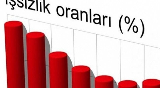 Türkiye İstatistik Kurumu'na 50 uzman yardımcısı alacak! İşte Başvuru Şartları ve Başvuru yeri 3