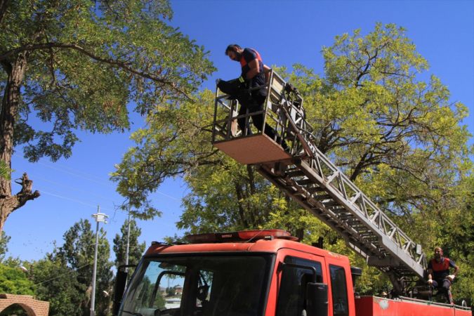 Ağaçta ayağı ipe dolanan kargayı itfaiye ekipleri kurtardı 1