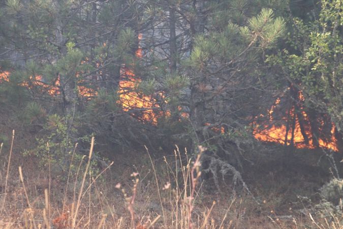 Kastamonu'da çıkan orman yangınına müdahale ediliyor 2