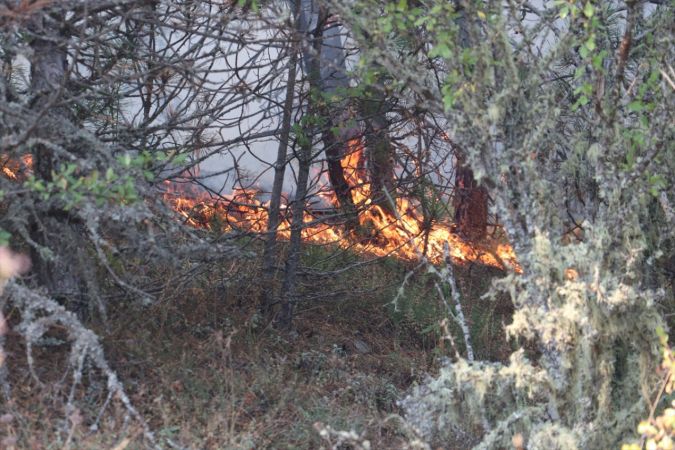 Kastamonu'da çıkan orman yangınına müdahale ediliyor 4