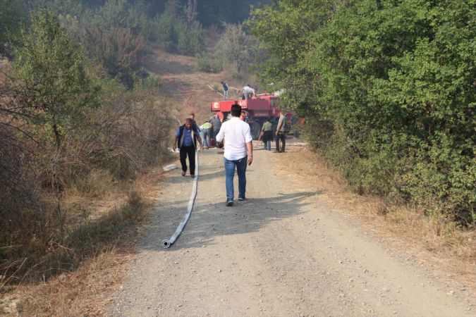 Kastamonu'da çıkan orman yangınına müdahale ediliyor 5