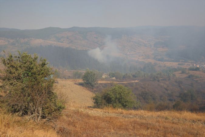 Kastamonu'da çıkan orman yangınına müdahale ediliyor 7