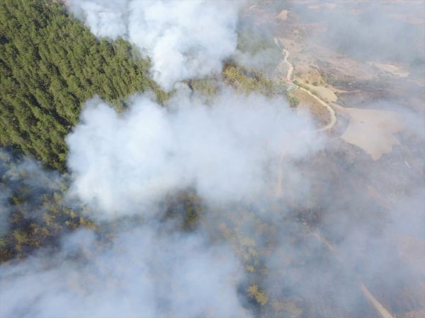 Kastamonu'da çıkan orman yangınına müdahale ediliyor 8