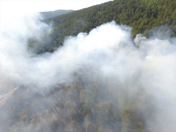Kastamonu'da çıkan orman yangınına müdahale ediliyor 9