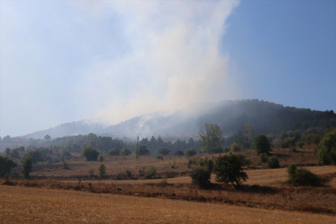 Kastamonu'da çıkan orman yangınına müdahale ediliyor 11