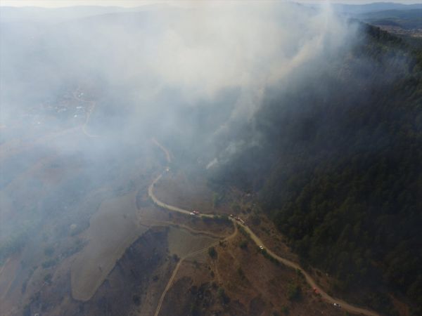 Kastamonu'da çıkan orman yangınına müdahale ediliyor 13