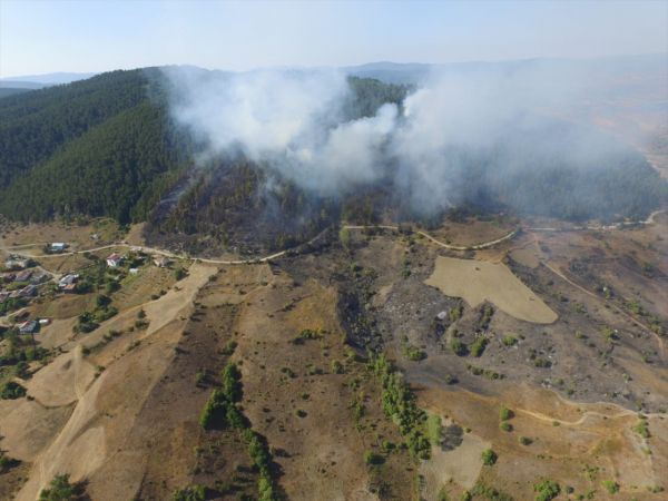 Kastamonu'da çıkan orman yangınına müdahale ediliyor 14