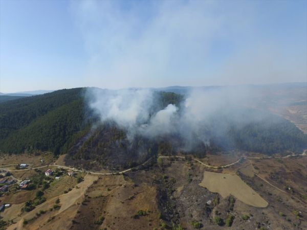 Kastamonu'da çıkan orman yangınına müdahale ediliyor 16