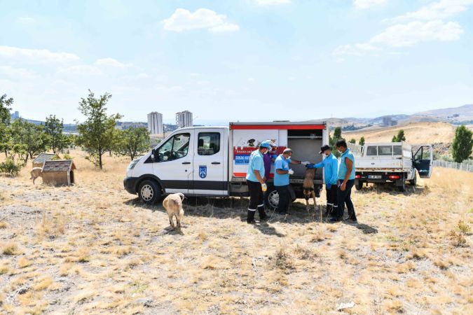 Ankara Büyükşehir, İnci Anne’nin çağrısına kulak verdi 6