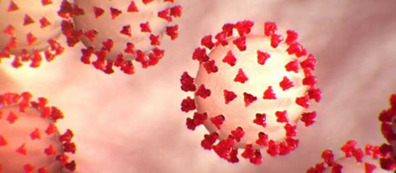 Türk bilim insanları koronavirüsün etkilerini araştırdı 2