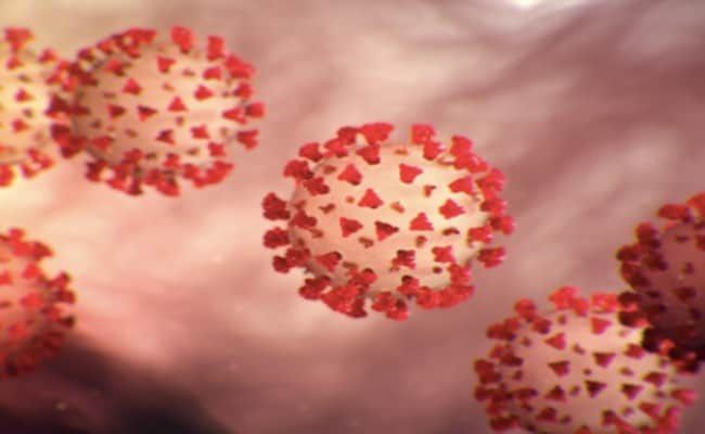 Uzmanlar  Uyarıyor: "Grip ve zatürre aşıları Kovid-19’dan korumaz" 4