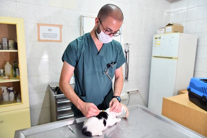 Ankara Büyükşehir Belediyesi ücretsiz kuduz aşısı kampanyası başlattı 4