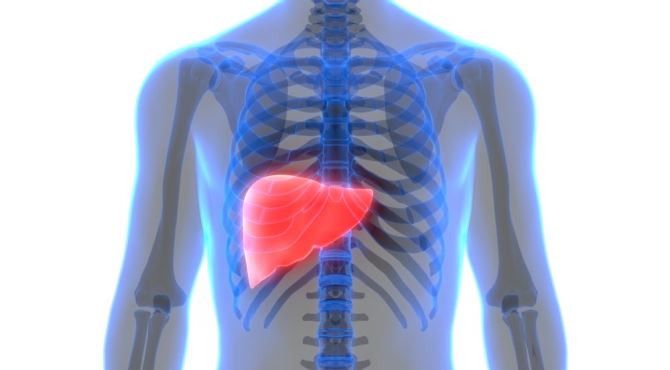 Karaciğer hastalıklarının tanısında "fibroscan" dönemi 1