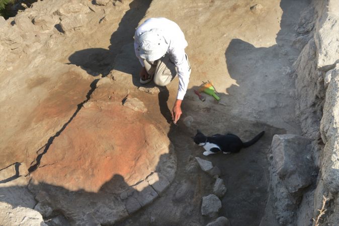 Arkeoloğun topraktan çıkarıp hayata döndürdüğü kedi kazı alanının maskotu oldu 10
