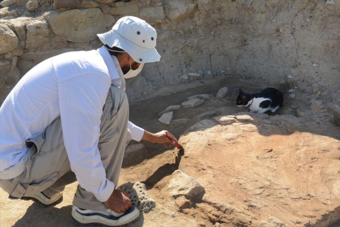 Arkeoloğun topraktan çıkarıp hayata döndürdüğü kedi kazı alanının maskotu oldu 11