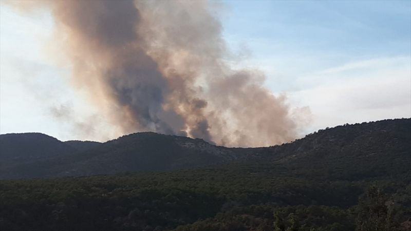 Ankara'da  Korkutan Orman Yangını! Söndürme Çalışmaları devam ediyor... 3