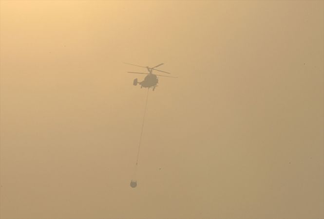 ABB Başkanı Yavaş, Nallıhan'daki orman yangını bölgesinde incelemelerde bulundu 5