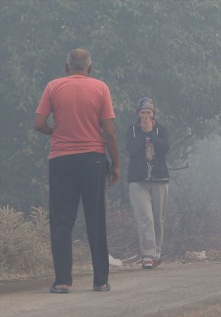 ABB Başkanı Yavaş, Nallıhan'daki orman yangını bölgesinde incelemelerde bulundu 6