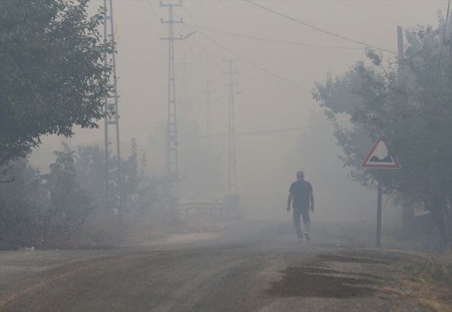 ABB Başkanı Yavaş, Nallıhan'daki orman yangını bölgesinde incelemelerde bulundu 7