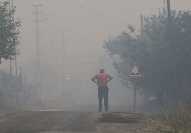ABB Başkanı Yavaş, Nallıhan'daki orman yangını bölgesinde incelemelerde bulundu 10