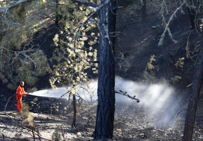 ABB Başkanı Yavaş, Nallıhan'daki orman yangını bölgesinde incelemelerde bulundu 11