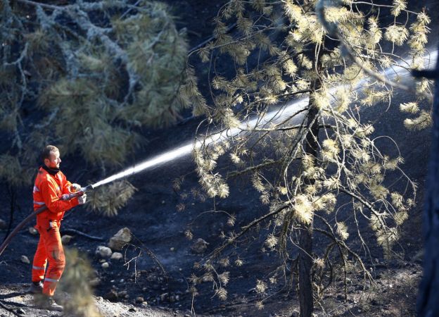 ABB Başkanı Yavaş, Nallıhan'daki orman yangını bölgesinde incelemelerde bulundu 3