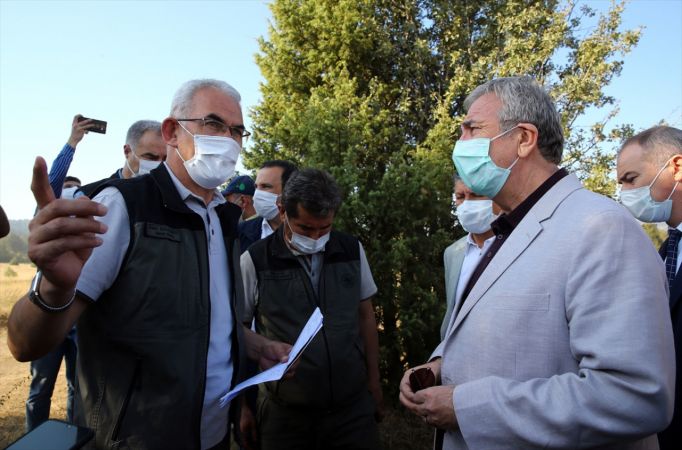 ABB Başkanı Yavaş, Nallıhan'daki orman yangını bölgesinde incelemelerde bulundu 4