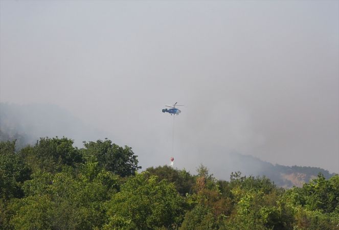 ABB Başkanı Yavaş, Nallıhan'daki orman yangını bölgesinde incelemelerde bulundu 17
