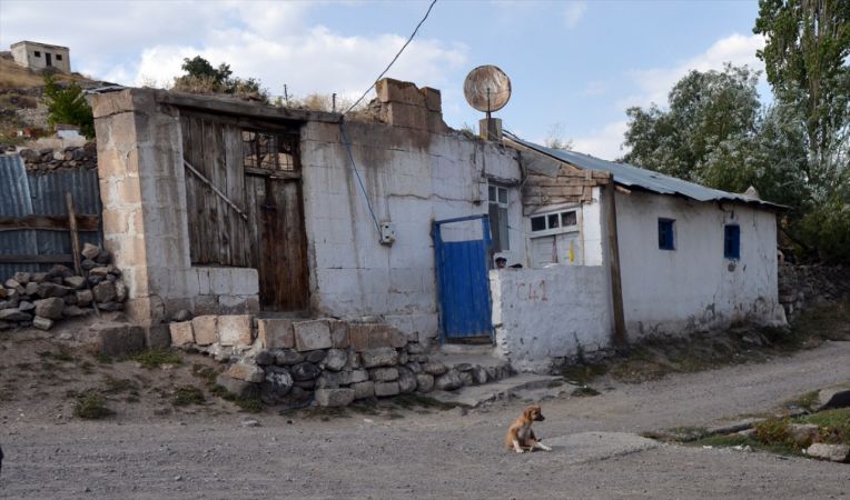 Baraj nedeniyle boşaltılan köyde aç kalan köpeklere vatandaşlar sahip çıktı 7