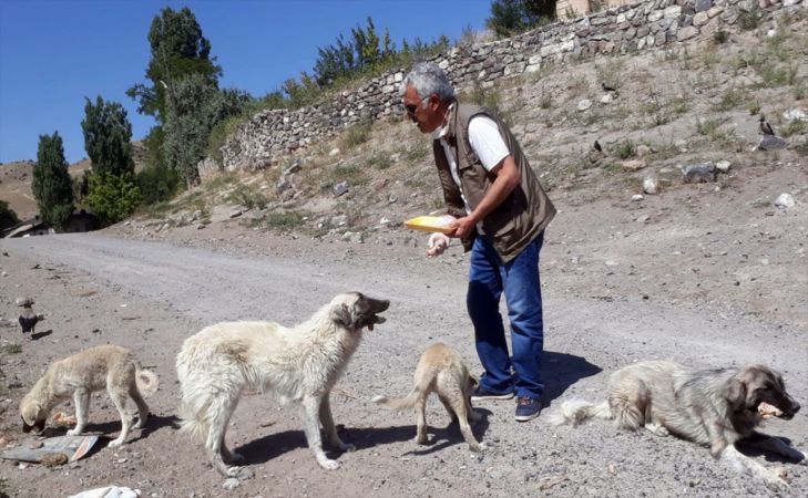 Baraj nedeniyle boşaltılan köyde aç kalan köpeklere vatandaşlar sahip çıktı 1
