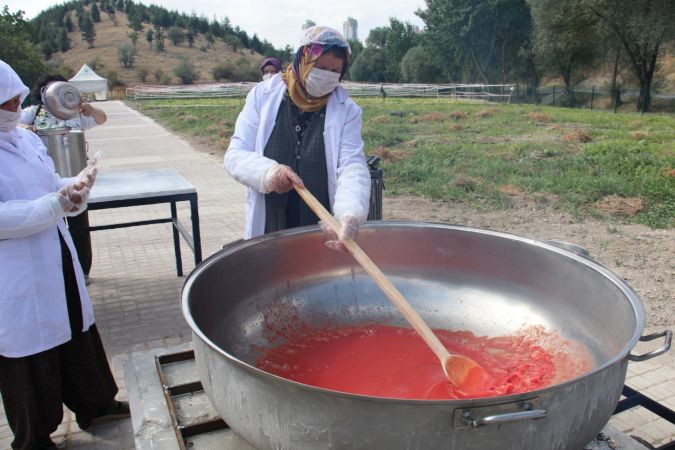Mamak'ta organik üretime kadın eli değdi - Ankara 1