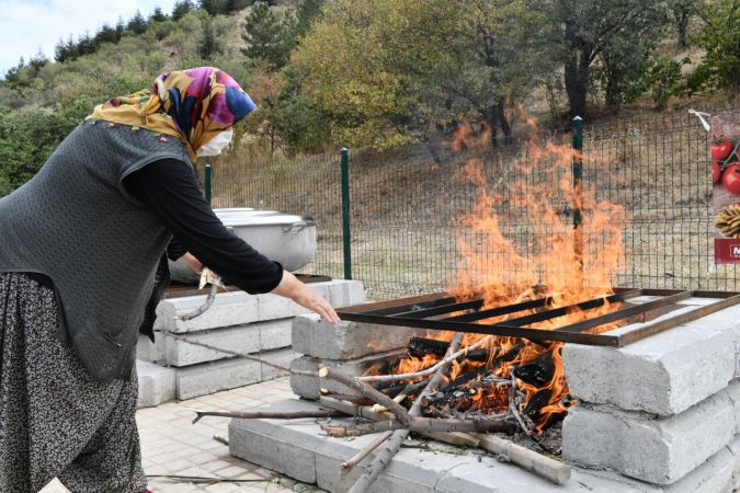 Mamak'ta organik üretime kadın eli değdi - Ankara 9