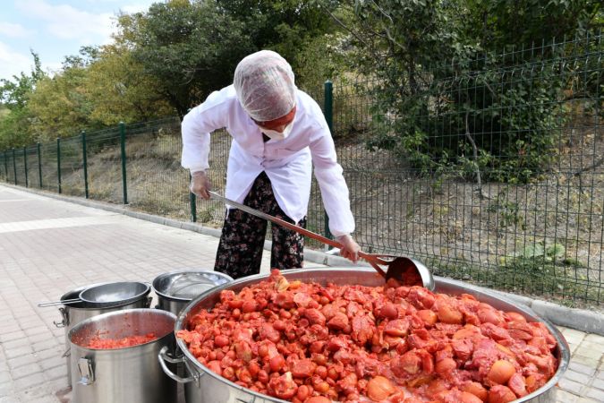 Mamak'ta organik üretime kadın eli değdi - Ankara 10