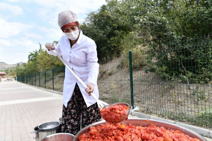 Mamak'ta organik üretime kadın eli değdi - Ankara 12