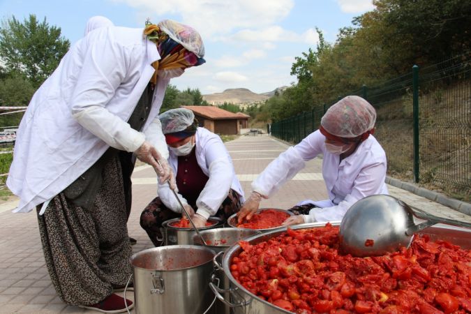 Mamak'ta organik üretime kadın eli değdi - Ankara 3
