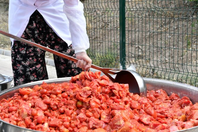 Mamak'ta organik üretime kadın eli değdi - Ankara 4