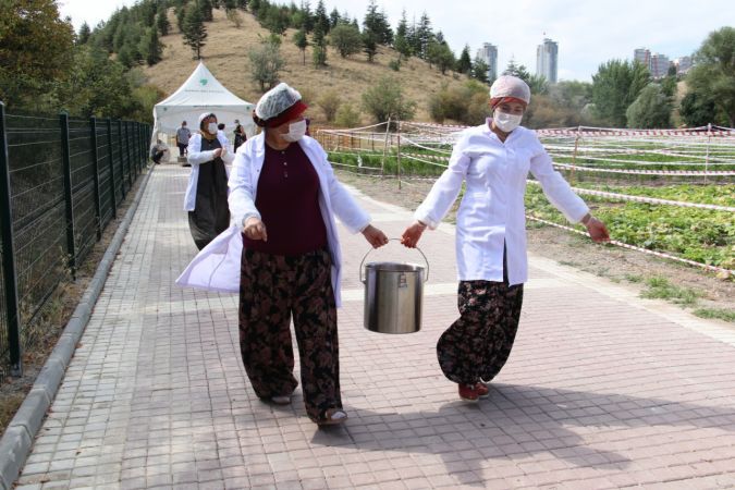 Mamak'ta organik üretime kadın eli değdi - Ankara 5